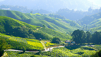 如何解決導(dǎo)電PC注塑件熔接痕問(wèn)題？